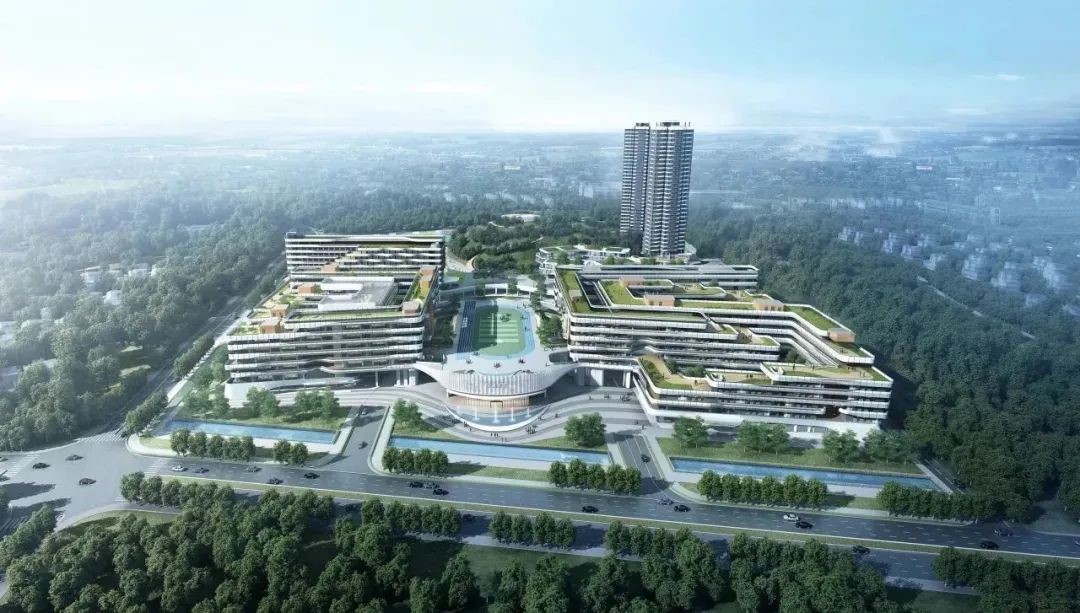 1758551318892395.jpg 1.jpg